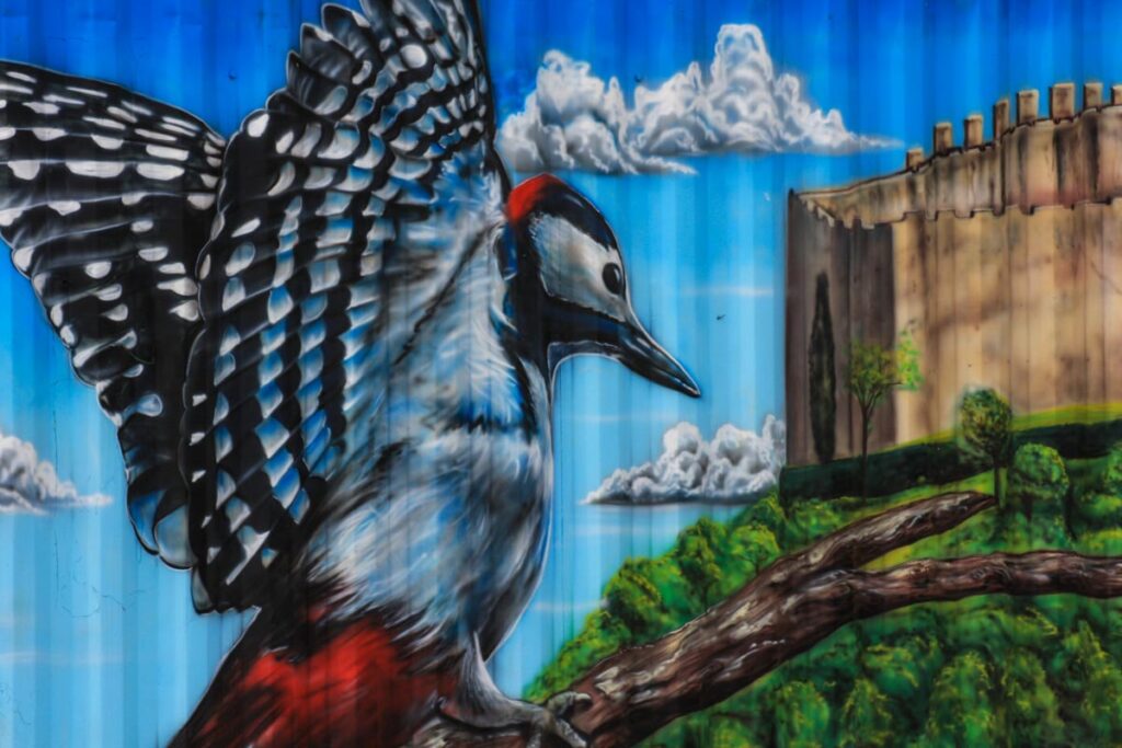 asolo-rugby-club-chi-siamo-3-ret